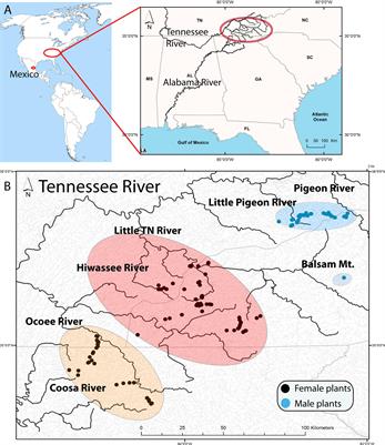 Population Genomics and Phylogeography of a Clonal Bryophyte With Spatially Separated Sexes and Extreme <mark class="highlighted">Sex Ratios</mark>
